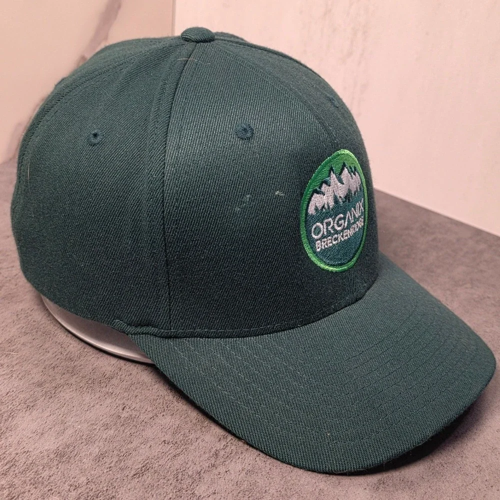 Organix Breckenridge Flexfit Hat Mens L-XL Forest Green Mountain Patch Cap - Picture 4 of 9